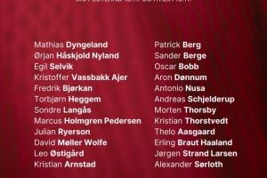  挪威11月世预赛名单：哈兰德、鲍勃、瑟尔洛特在列，厄德高伤缺